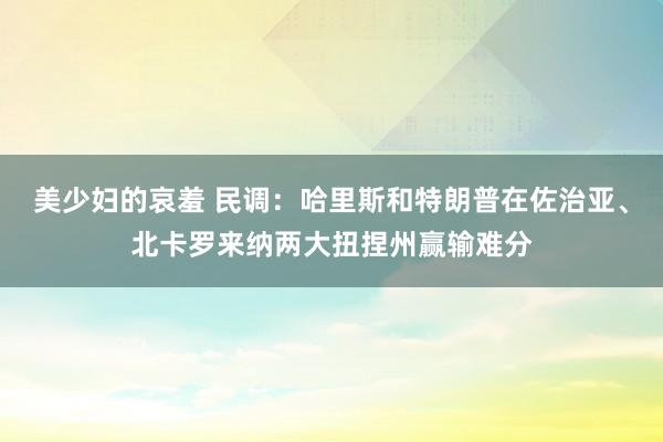 美少妇的哀羞 民调：哈里斯和特朗普在佐治亚、北卡罗来纳两大扭捏州赢输难分