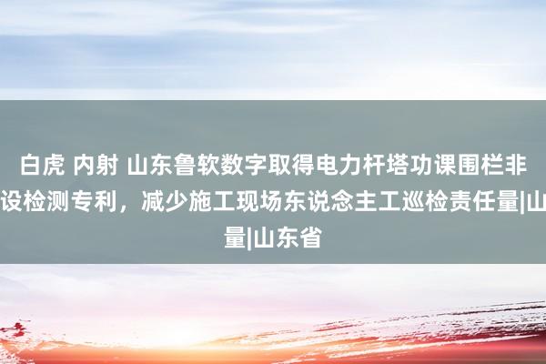 白虎 内射 山东鲁软数字取得电力杆塔功课围栏非法建设检测专利，减少施工现场东说念主工巡检责任量|山东省