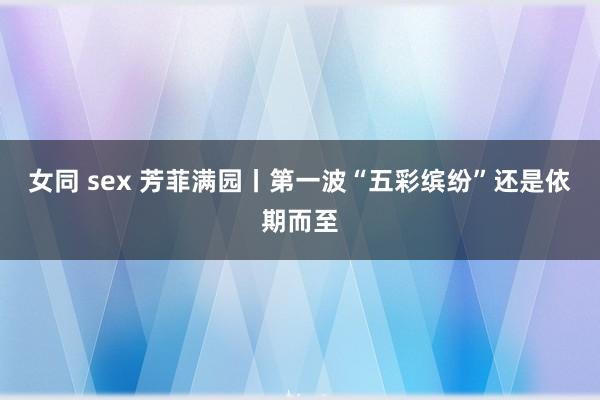 女同 sex 芳菲满园丨第一波“五彩缤纷”还是依期而至