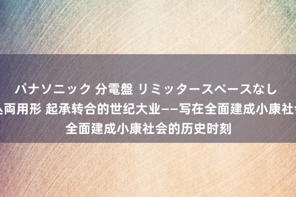 パナソニック 分電盤 リミッタースペースなし 露出・半埋込両用形 起承转合的世纪大业——写在全面建成小康社会的历史时刻